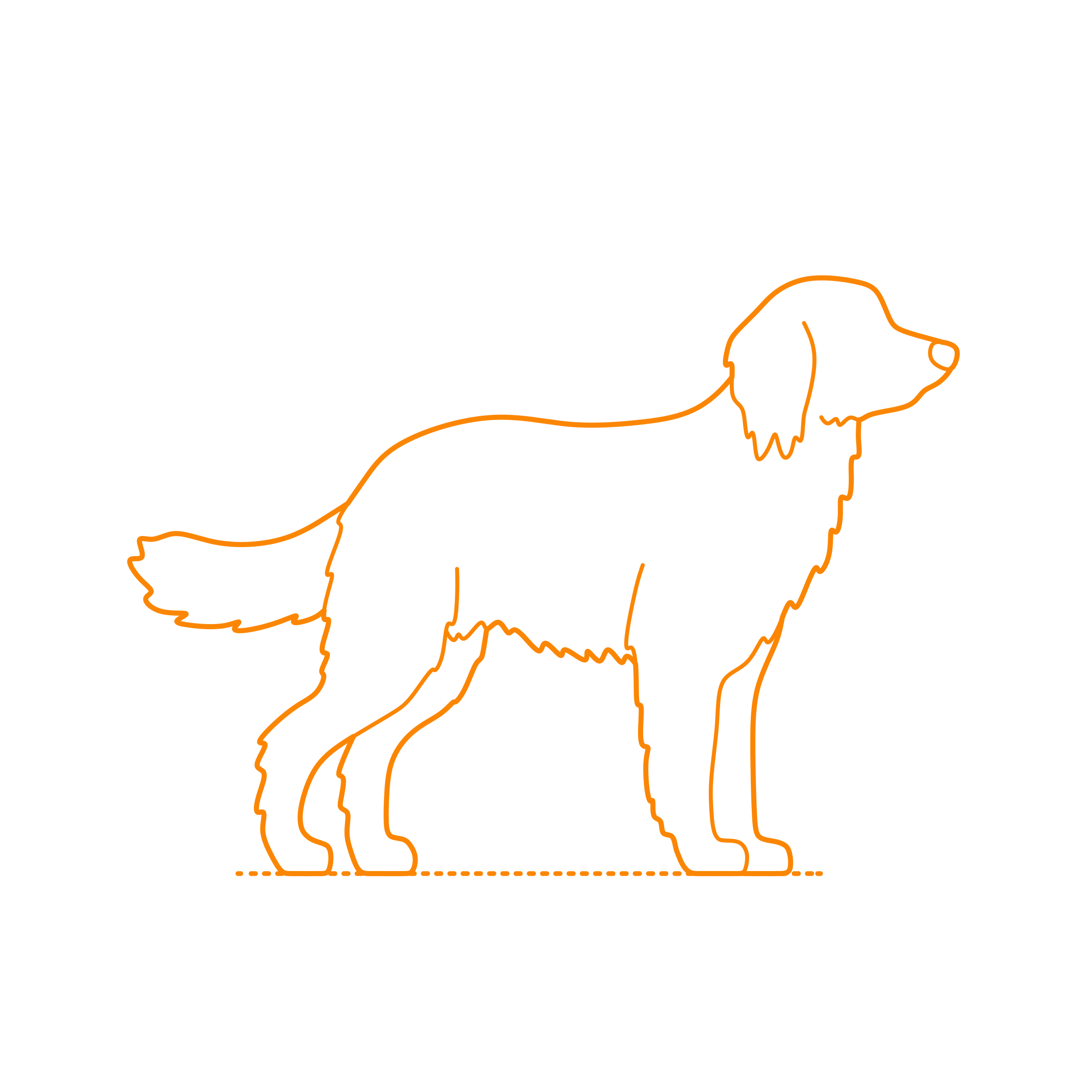 Animals Dogs Hovawart Tracing Svg Vector Free Vectors
